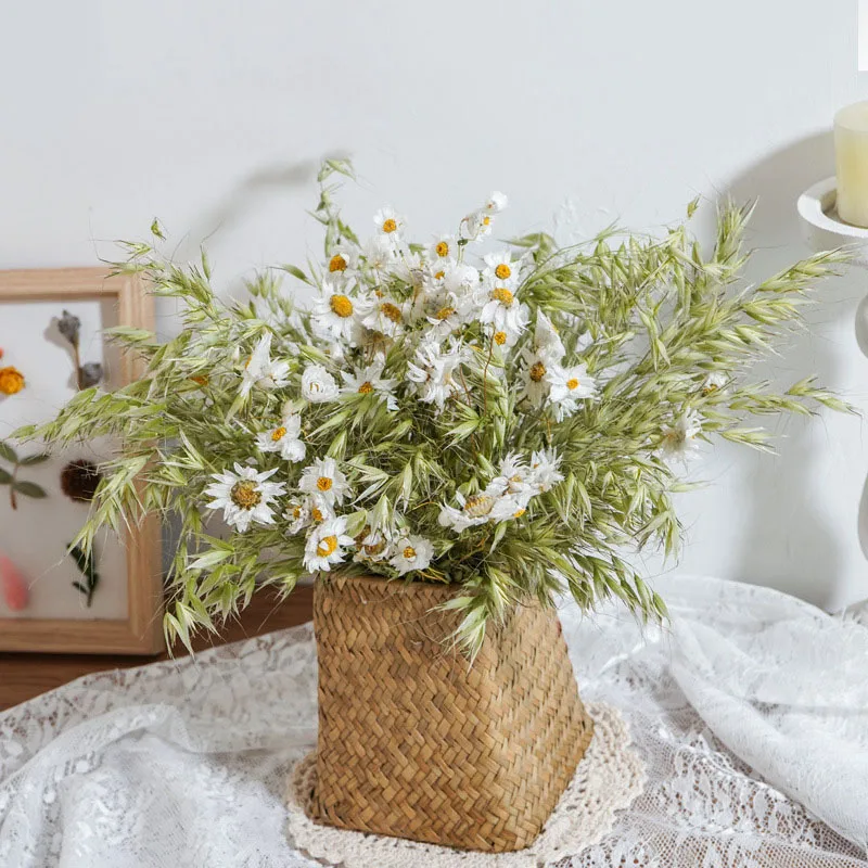 Naturale Uscate de Ovăz Mic Daisys Floare Stil Nordic Buchet Veșnică Planta Ziua Îndrăgostiților Cadou de Nunta de Decorare Acasă Ornamente