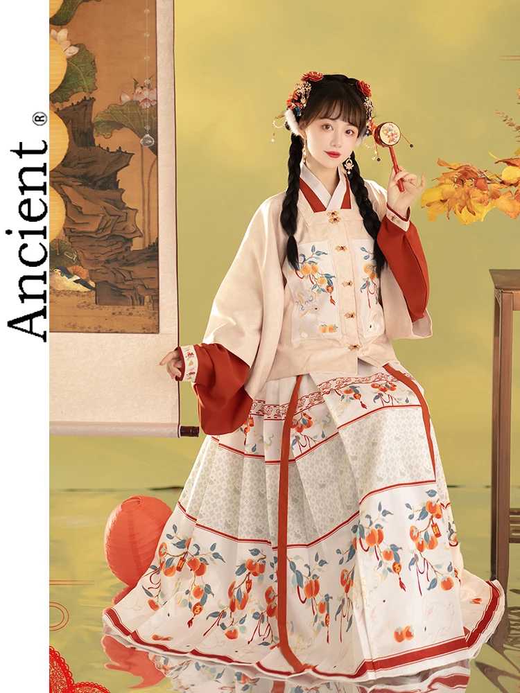 Hanfu Han Element Vechi Îmbrăcăminte Tradițională Femeie Din Asia De Iarnă Chineză Stil Vechi De Anul Nou Rochie De Sex Feminin Joc De Rol